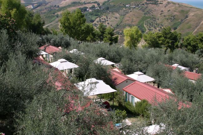 Bungalows tra ulivi su un pendio collinare.