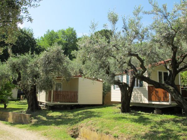 Bungalow tra ulivi e prati verdi.