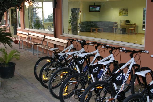 Biciclette allineate davanti a una vetrina.