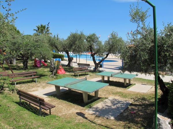 Parco con panchine e tavoli da ping pong tra alberi.
