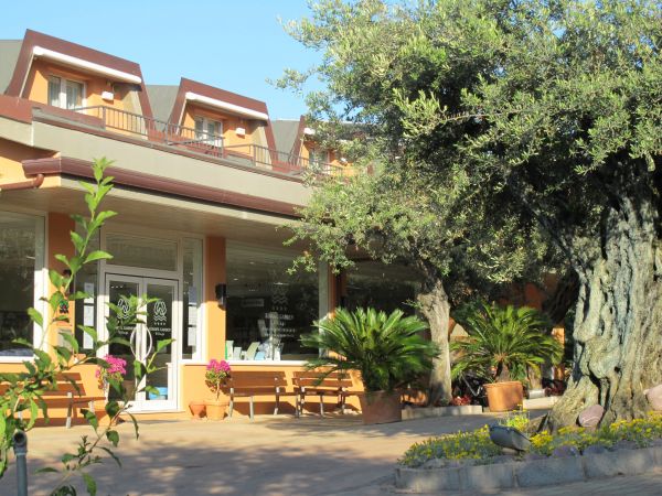 Edificio con piante e grande albero in primo piano.