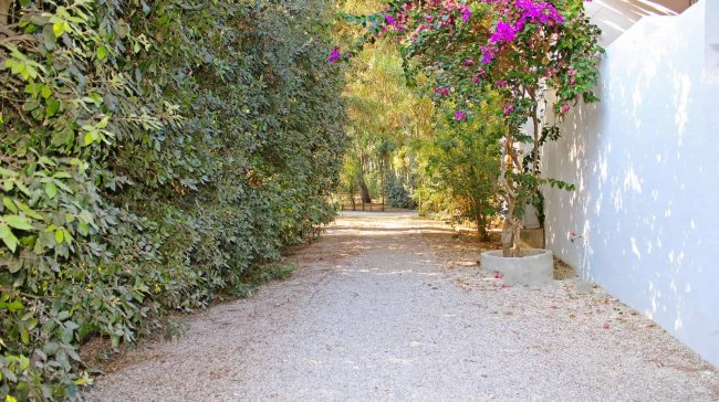 Sentiero ghiaioso tra siepi e fiori rosa.