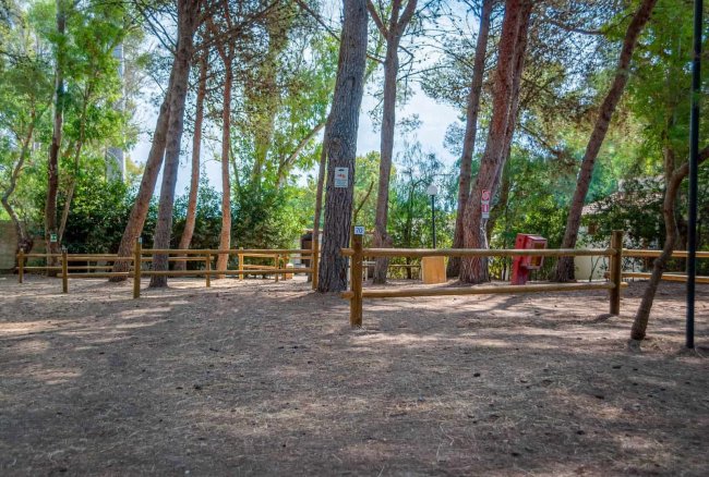 Spiazzo con alberi e recinto di legno in un bosco.