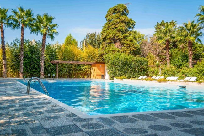Piscina circondata da palme e piante.
