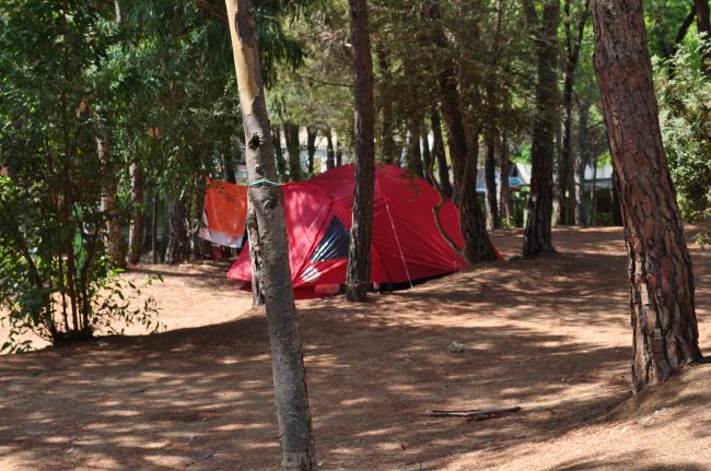 Una tenda rossa nel bosco tra gli alberi.