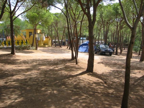 Area campeggio con una tenda blu, un'auto e un edificio giallo tra gli alberi.