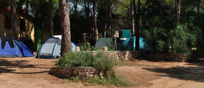 Tende da campeggio tra gli alberi in un ambiente boschivo.