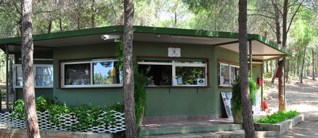 Edificio verde con grandi finestre e piante rampicanti, circondato da alberi.