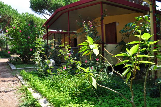 Villette gialle con tetto rosso, avvolte da fiori e vegetazione.