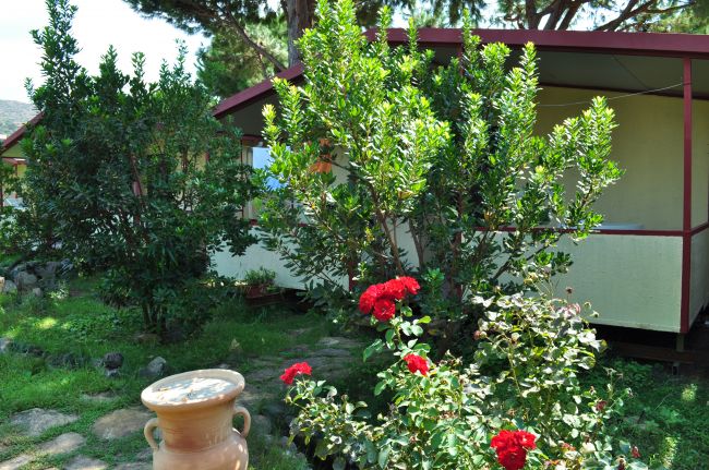 Giardino con cespuglio di fiori rossi e una casetta sullo sfondo.