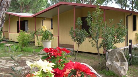 Bungalow giallo con piante e fiori colorati davanti.