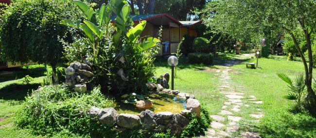 Laghetto con pietre e piante in un giardino con sentieri di pietra.