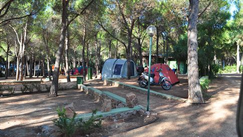 Area campeggio con tende, moto e alberi immersi nel verde.