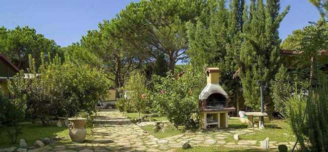 Giardino con barbecue in pietra e sentiero tra gli alberi.
