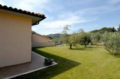 Ampio giardino verde con alberi e cielo azzurro sullo sfondo.