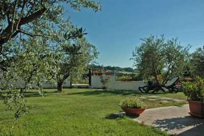 Un giardino verde con sdraio, piante in vaso e alberi sotto un cielo azzurro.