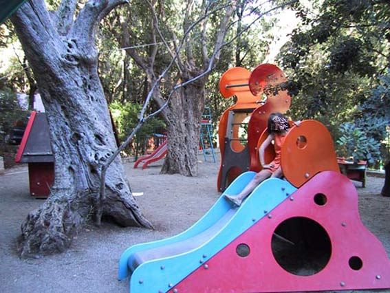 Parco giochi con scivolo colorato e un grande albero accanto.