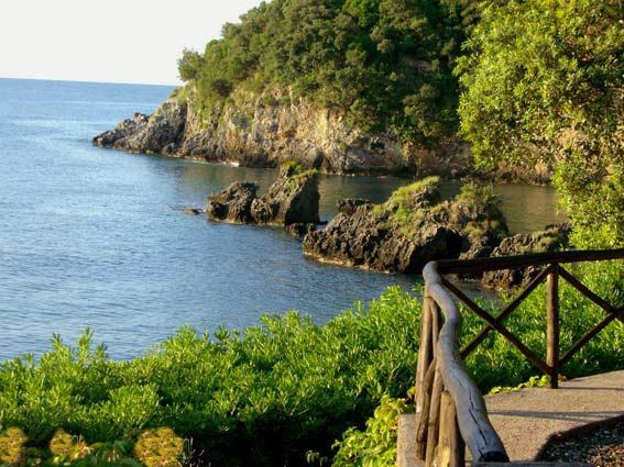 Un promontorio roccioso sul mare con vegetazione verde.