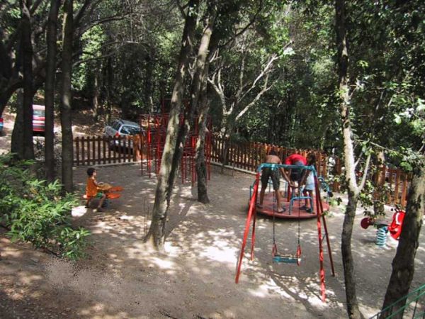 Parco giochi tra gli alberi con altalene e giostre.