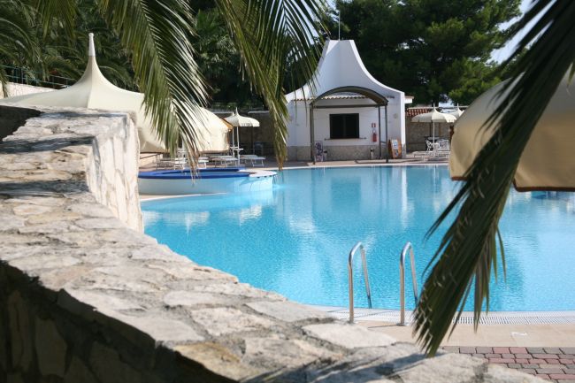 Piscina vista da dietro un muretto con piante verdi.
