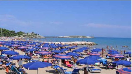 Spiaggia affollata con fila di ombrelloni blu sotto un cielo sereno.