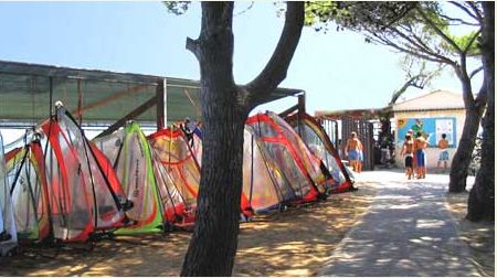 Attrezzature da windsurf accanto a un percorso alberato.