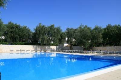 Una piscina all'aperto circondata da alberi e lettini, sotto un cielo blu.