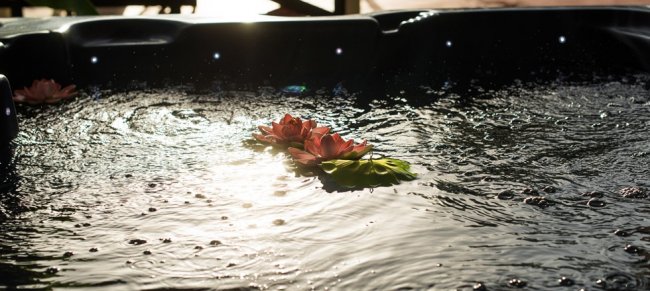 Fiori galleggianti su acqua in vasca idromassaggio.