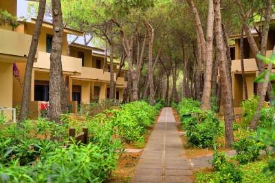 Sentiero fiancheggiato da alberi e edifici con balconi sotto alti pini.