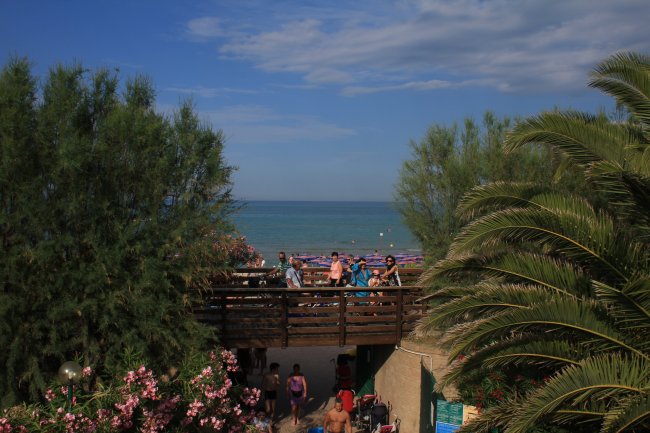 Una passerella in legno con vista sul mare e vegetazione.