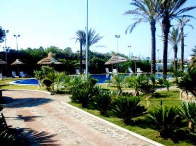 Un giardino con palme e una piscina circondata da sdraio e ombrelloni di paglia.