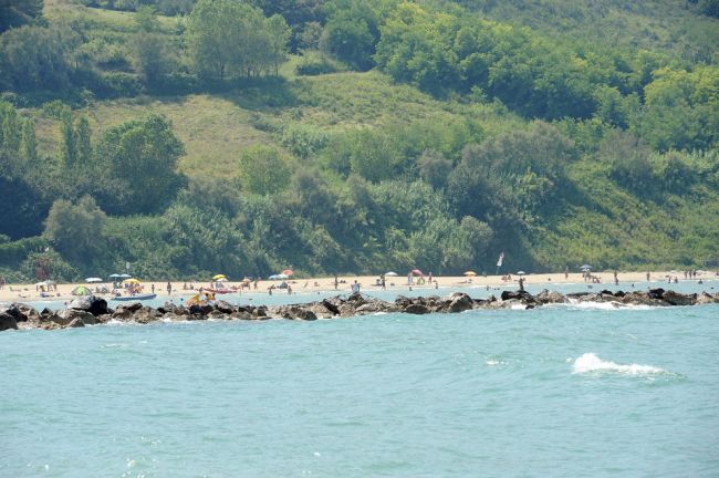 Spiaggia con vegetazione rigogliosa sullo sfondo.
