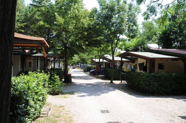 Viale alberato con bungalow laterali.