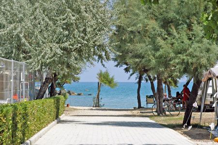 Sentiero tra alberi e siepi che conduce a una spiaggia con mare azzurro.