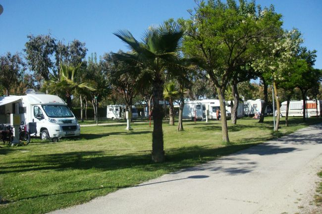 Area camper in un parco con alberi, erba verde e un cielo sereno.