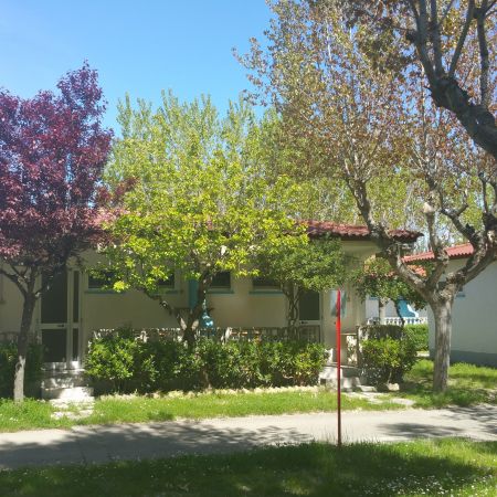 Casetta con alberi verdi e giardino.