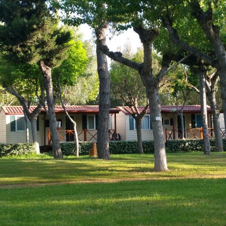 Casette tra gli alberi in un giardino.