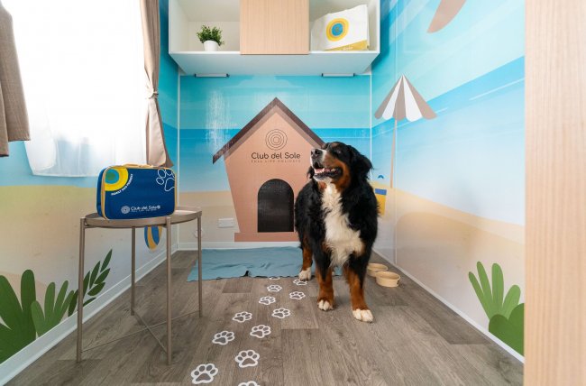 Cane in una stanza decorata con tema estivo.