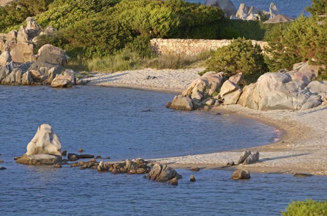 Spiaggia rocciosa con mare calmo e vegetazione.