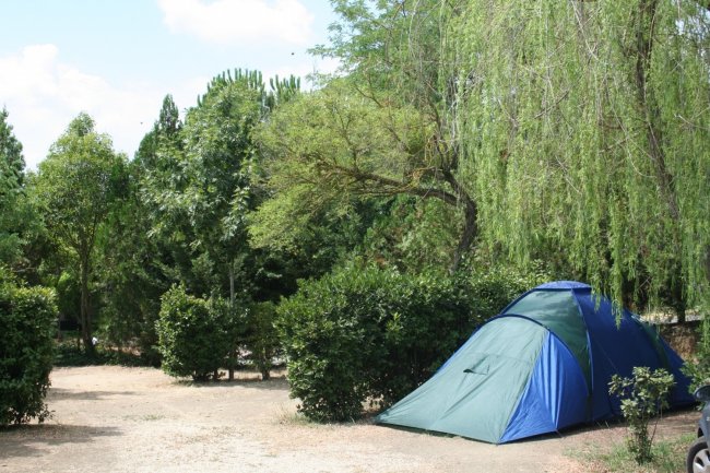 Una tenda blu e verde tra alberi e cespugli.