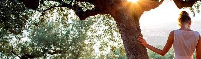 Donna appoggiata a un albero, sole tra le foglie.