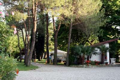 Un sentiero ghiaioso tra alberi e un piccolo edificio bianco.