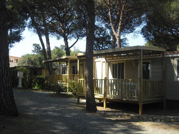 Verande di case mobili tra gli alberi.