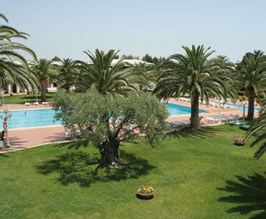 Piscina con palme e prato curato.