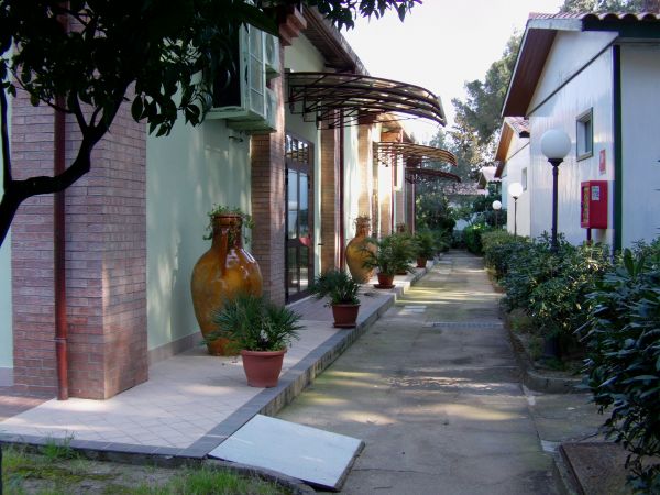 Un sentiero tra edifici con ampi vasi di terracotta e piante, sotto coperture in vetro.