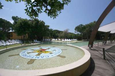 Una fontana circolare con un disegno al centro e lettini intorno, immersa nel verde.