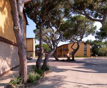 Edificio giallo con finestre grandi, circondato da alberi alti su un piazzale asfaltato.