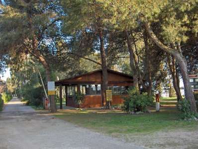 Edificio di legno tra alberi, su un vialetto erboso.