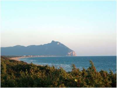 Spiaggia con vista su una montagna in lontananza, cielo sereno.