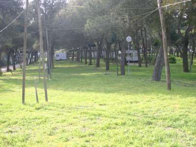Un prato verde con alberi e pali di legno, roulotte sullo sfondo.